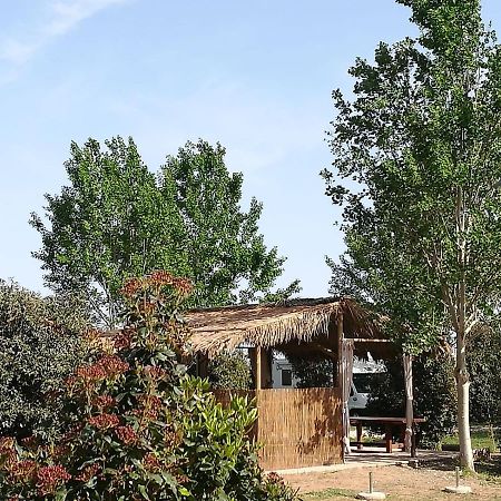 Bnatural Glamping Naturista/Nudista Baratti Exterior photo