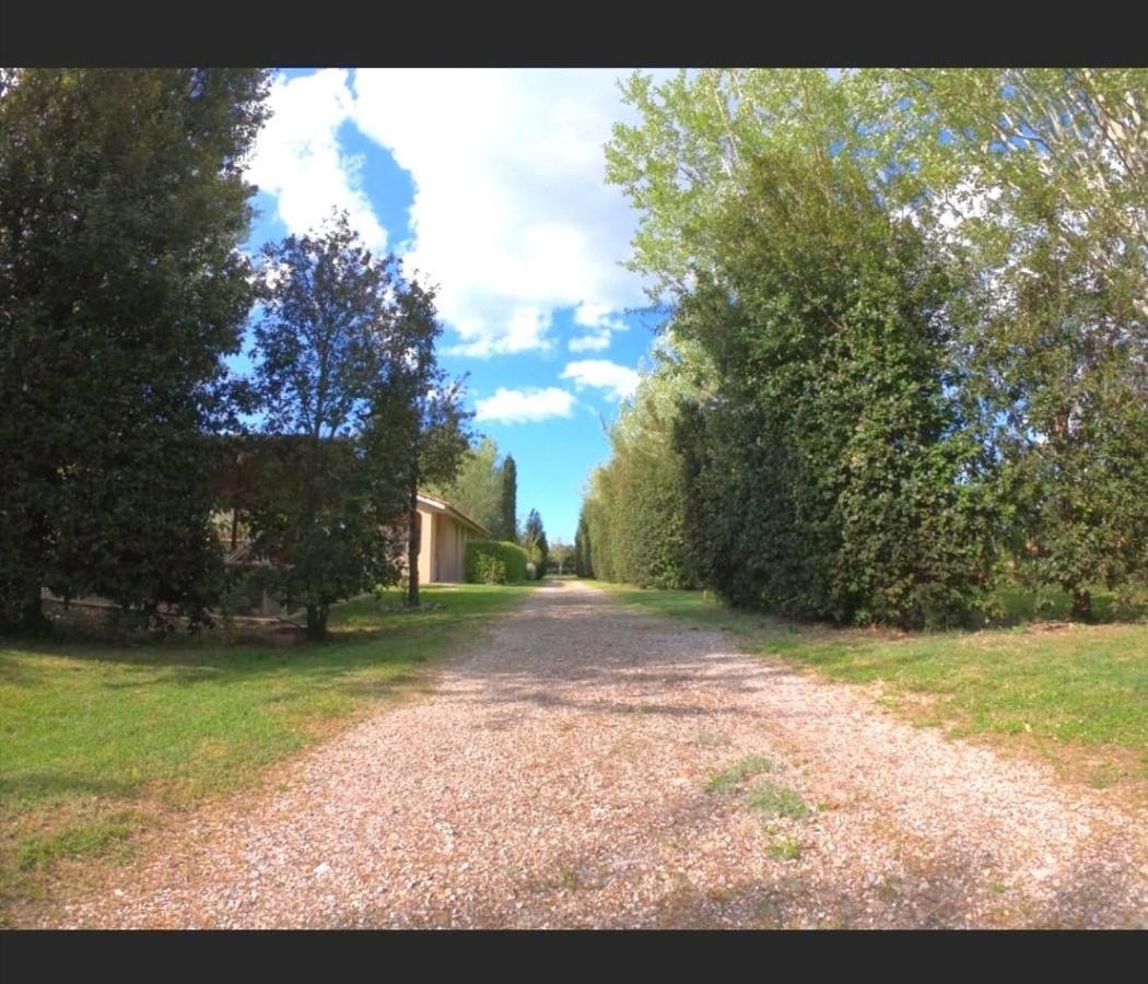 Bnatural Glamping Naturista/Nudista Baratti Exterior photo