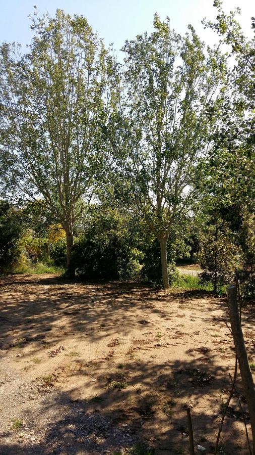 Bnatural Glamping Naturista/Nudista Baratti Exterior photo