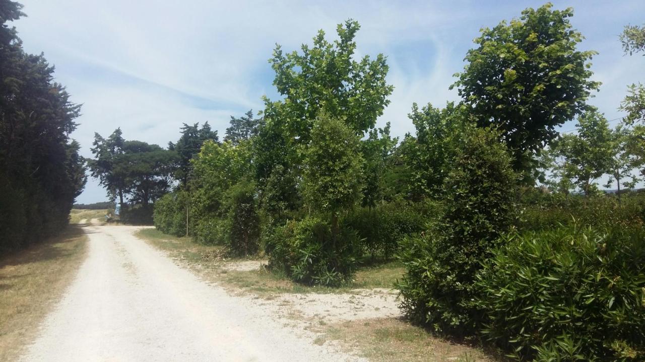Bnatural Glamping Naturista/Nudista Baratti Exterior photo