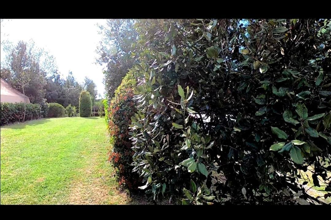 Bnatural Glamping Naturista/Nudista Baratti Exterior photo
