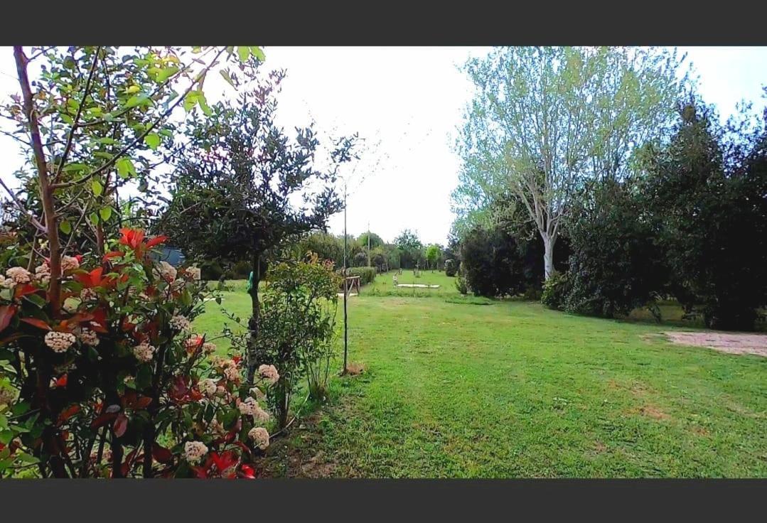 Bnatural Glamping Naturista/Nudista Baratti Exterior photo