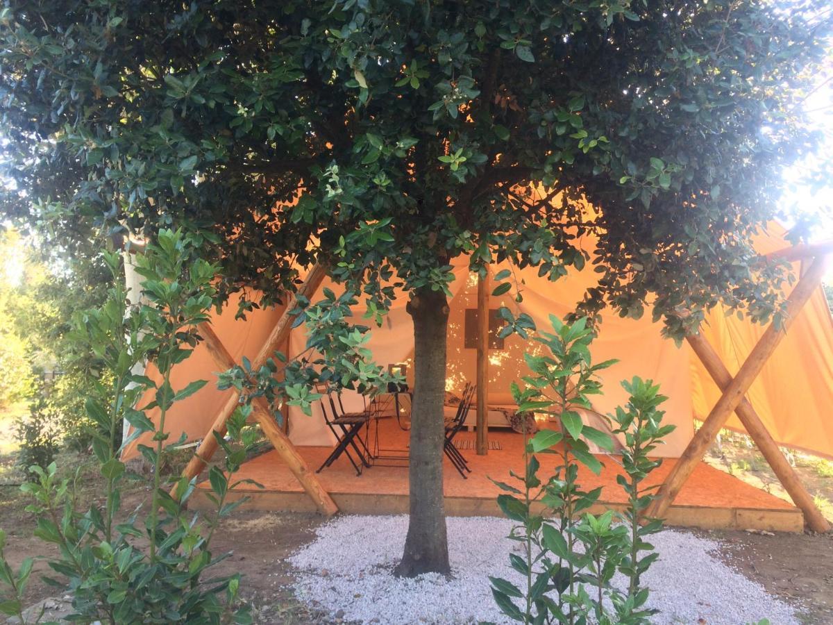 Bnatural Glamping Naturista/Nudista Baratti Exterior photo