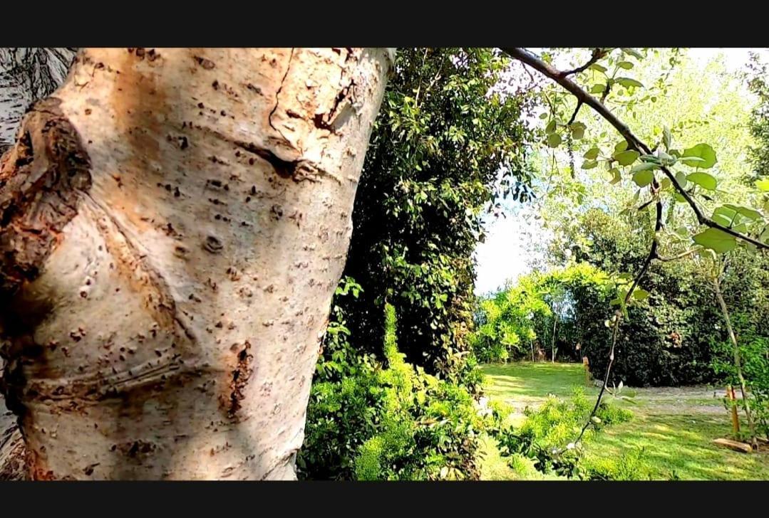 Bnatural Glamping Naturista/Nudista Baratti Exterior photo