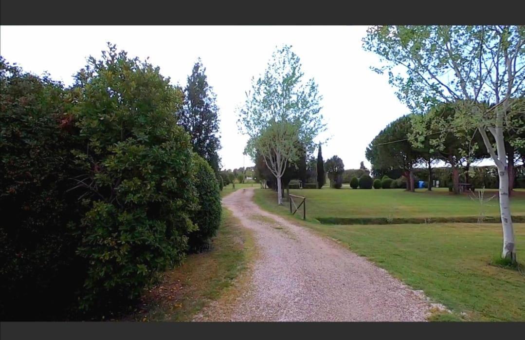 Bnatural Glamping Naturista/Nudista Baratti Exterior photo