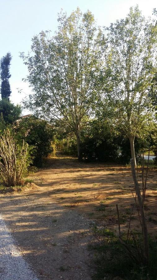 Bnatural Glamping Naturista/Nudista Baratti Exterior photo