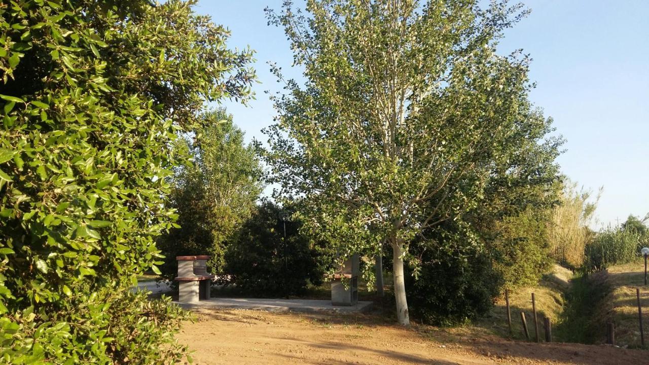 Bnatural Glamping Naturista/Nudista Baratti Exterior photo