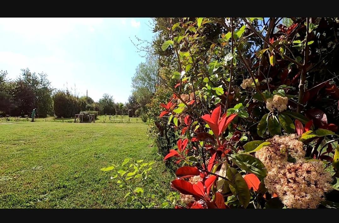 Bnatural Glamping Naturista/Nudista Baratti Exterior photo